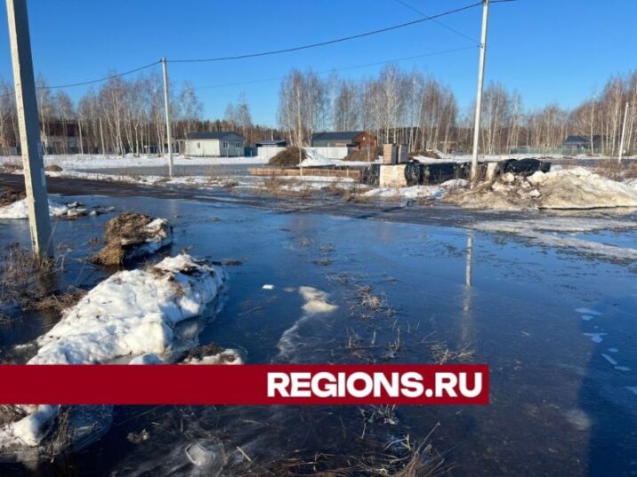 Деревня в Павлово-Посадском тонет из-за паводка Без рубрики 