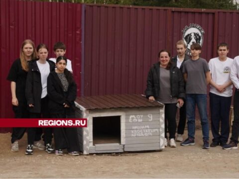 Школьники Павловского Посада отремонтировали будку для бездомных собак Без рубрики 