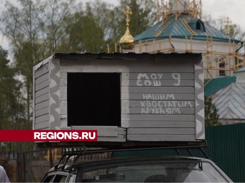 Школьники Павловского Посада отремонтировали будку для бездомных собак Без рубрики 